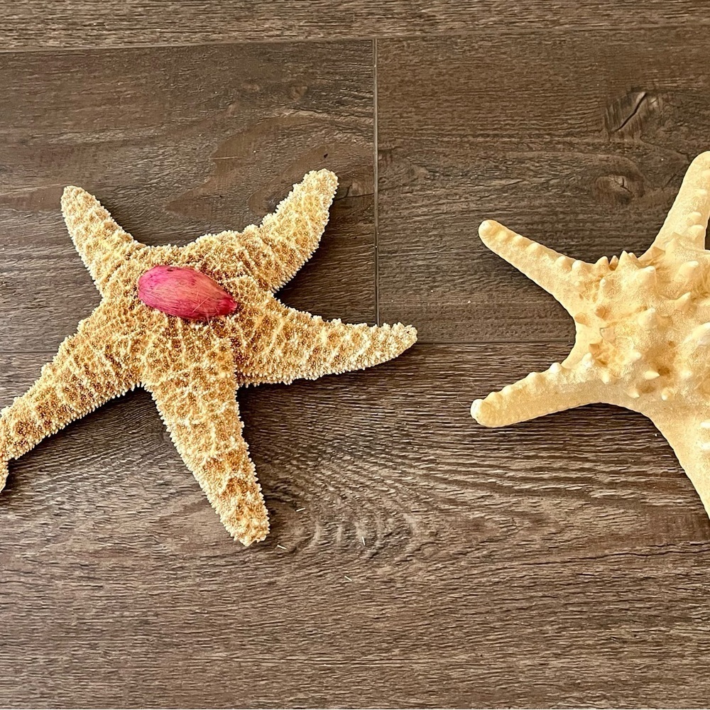 Decorative Starfish Set with Pink Accent
